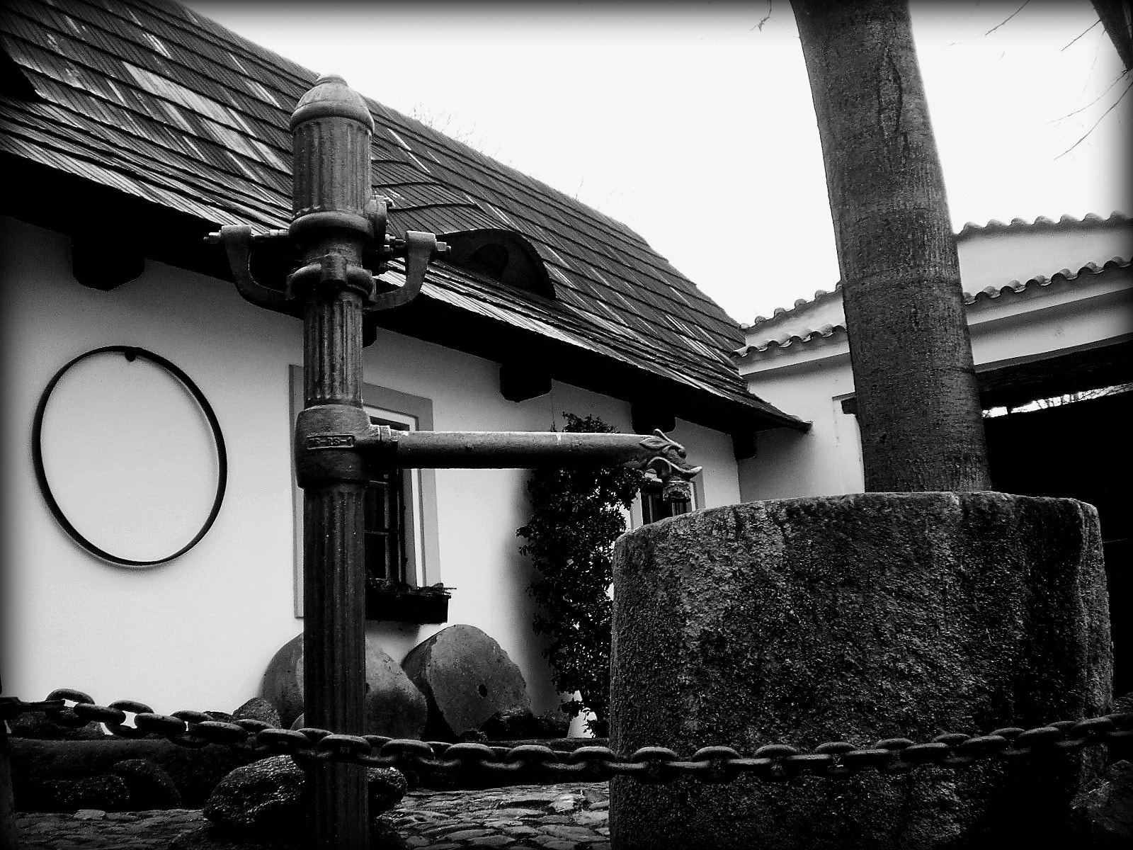 Olympus T105,T100,X36 sample photo. Black and white photography