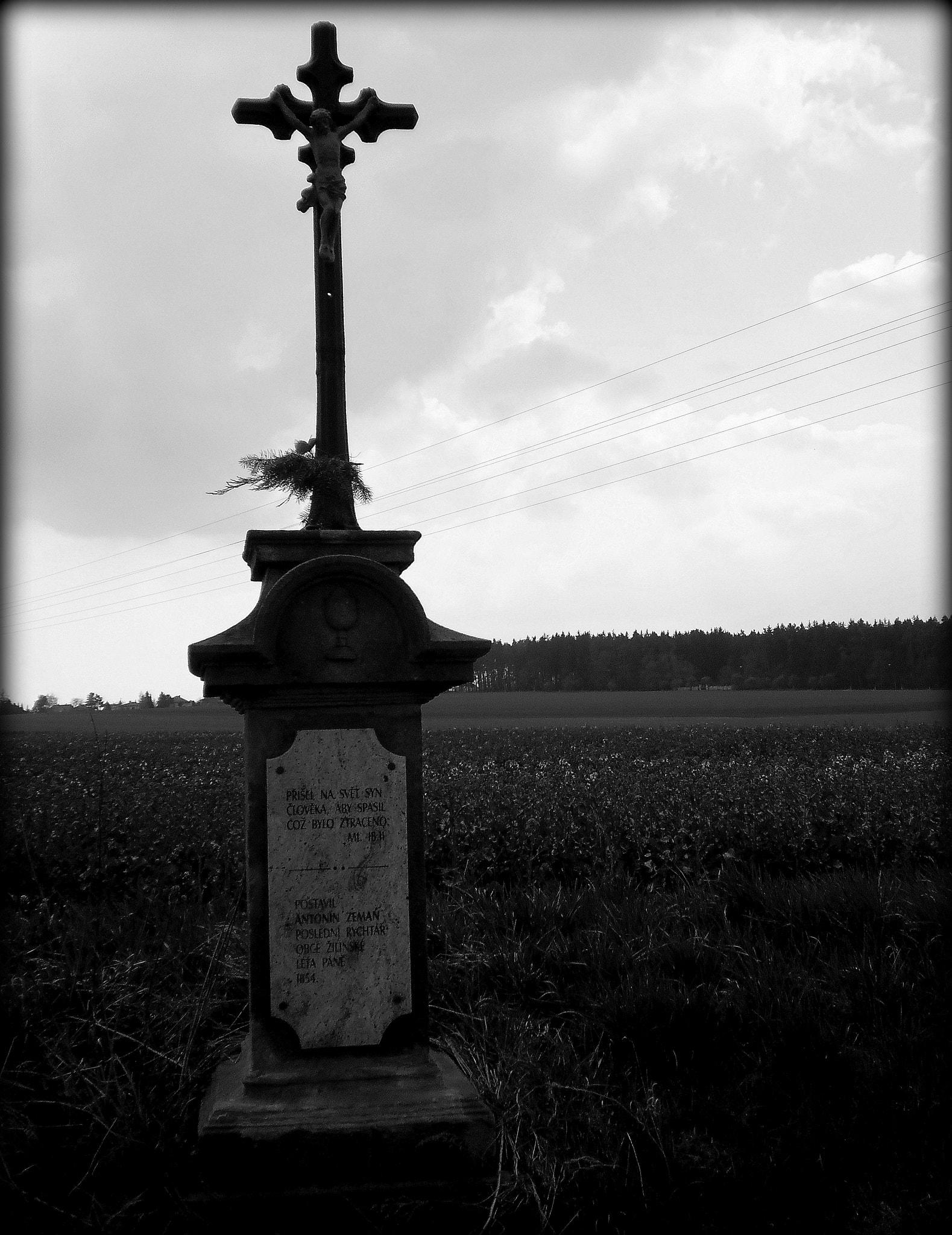 Olympus T105,T100,X36 sample photo. Black and white photography