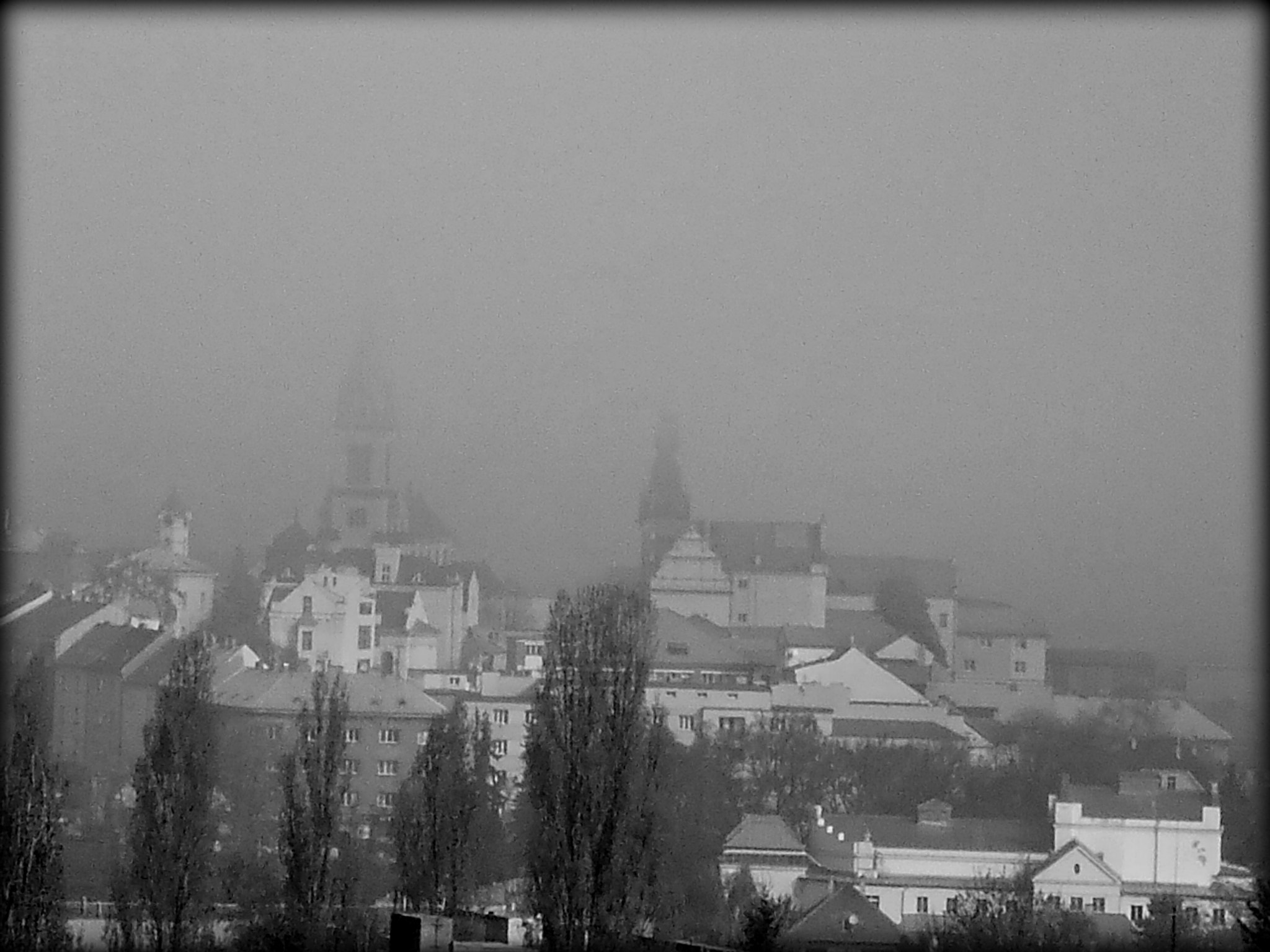 Olympus T105,T100,X36 sample photo. Black and white photography