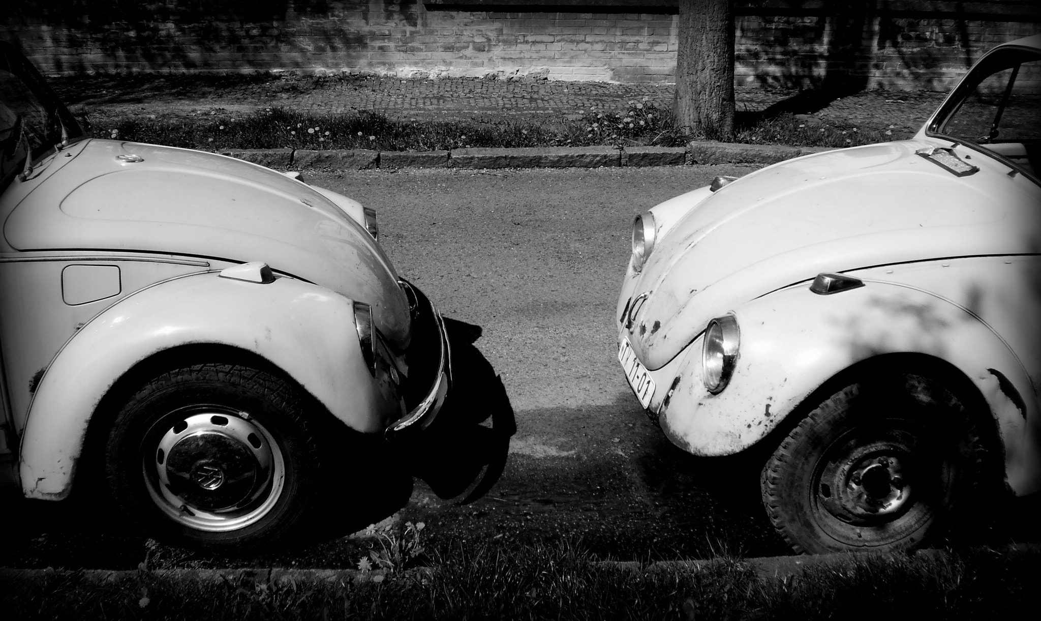 Olympus T105,T100,X36 sample photo. Black and white photography