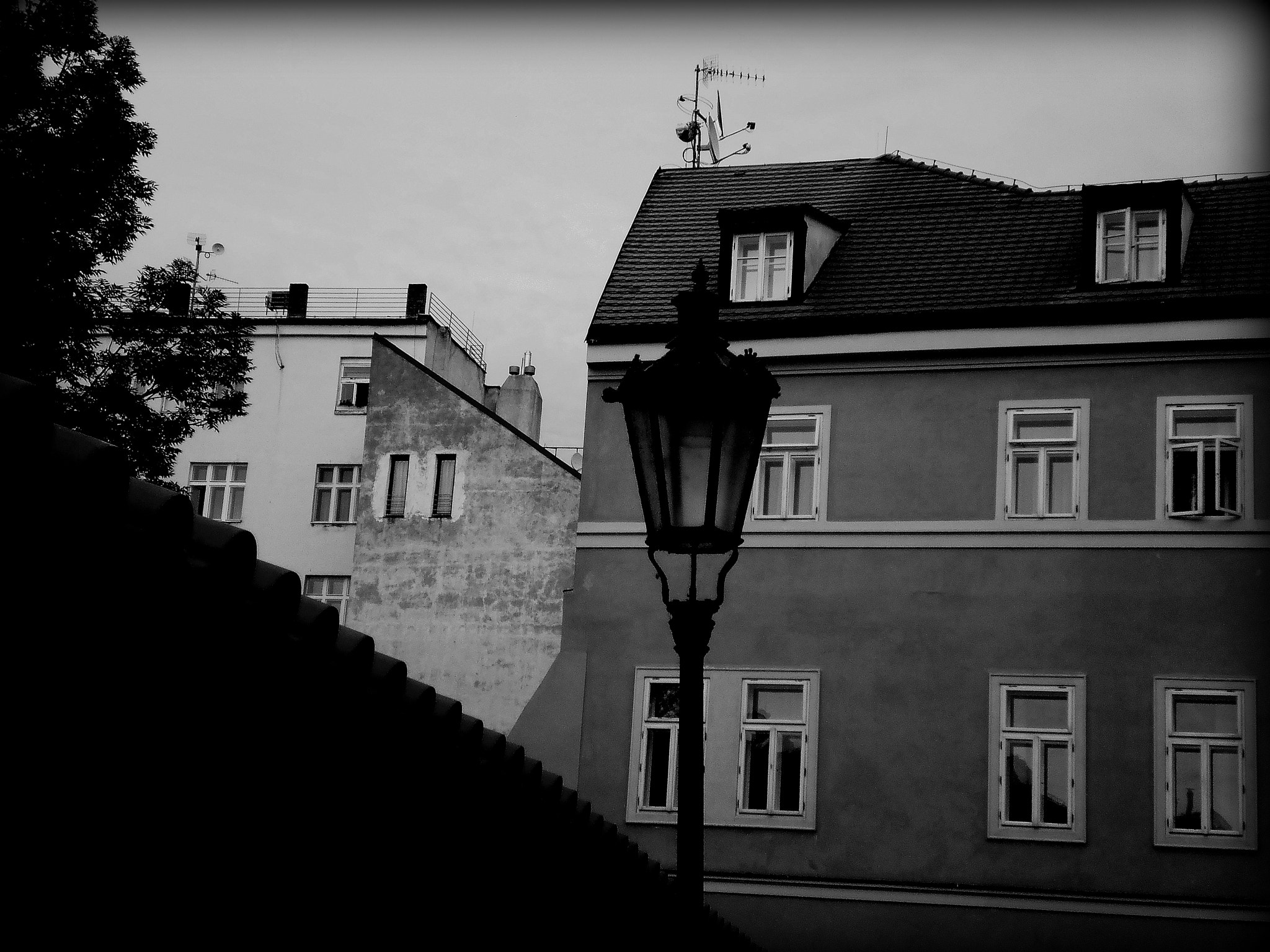 Olympus T105,T100,X36 sample photo. Black and white photography