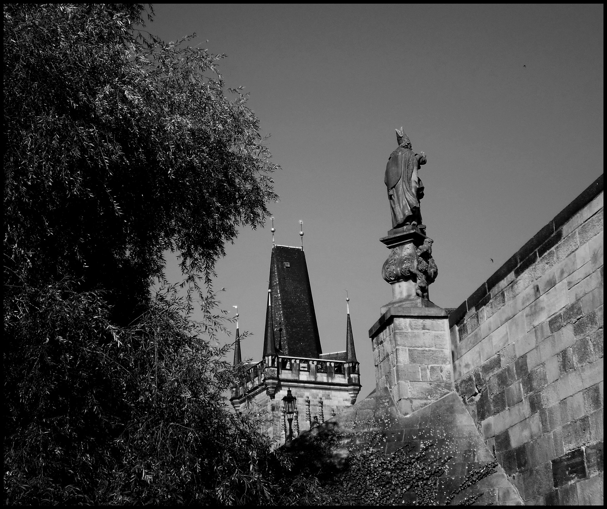 Olympus T105,T100,X36 sample photo. Black and white photography