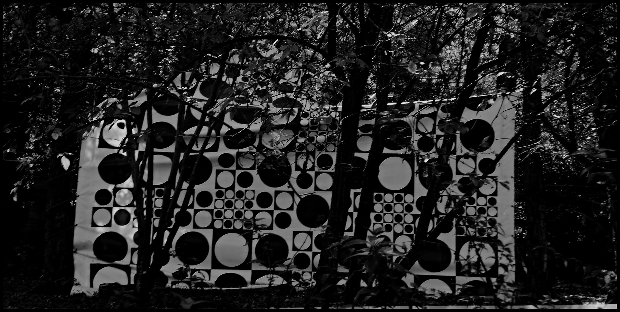 Olympus T105,T100,X36 sample photo. Black and white photography