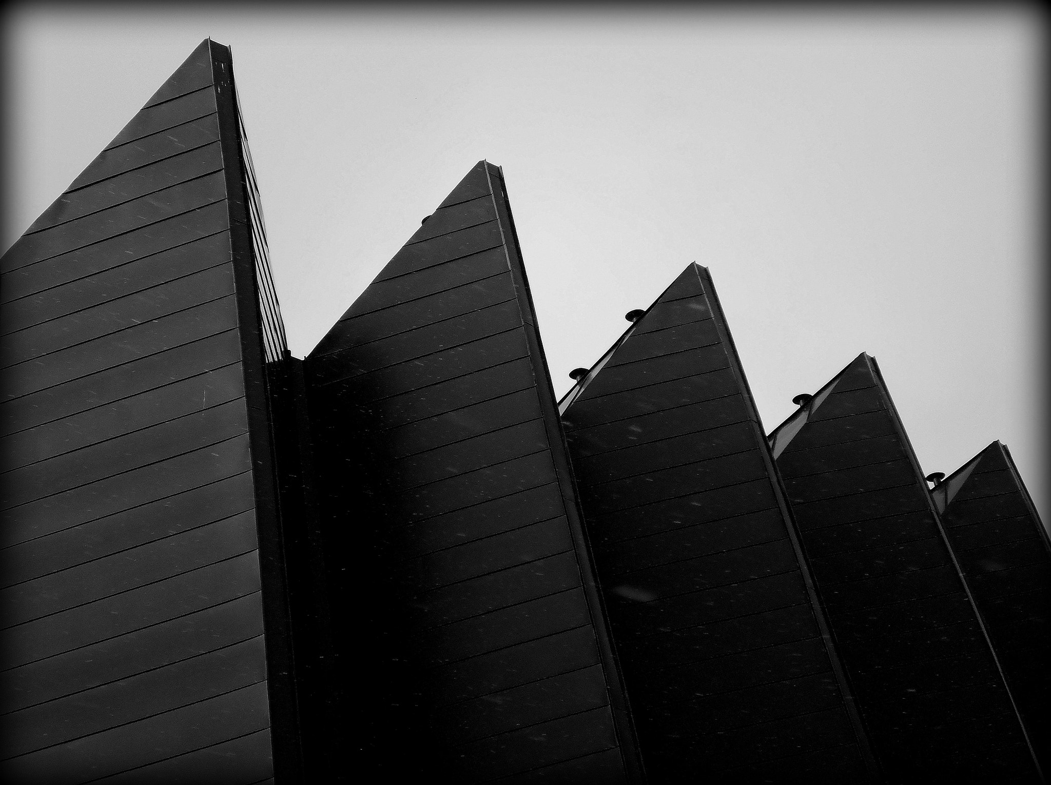 Olympus T105,T100,X36 sample photo. Black and white photography