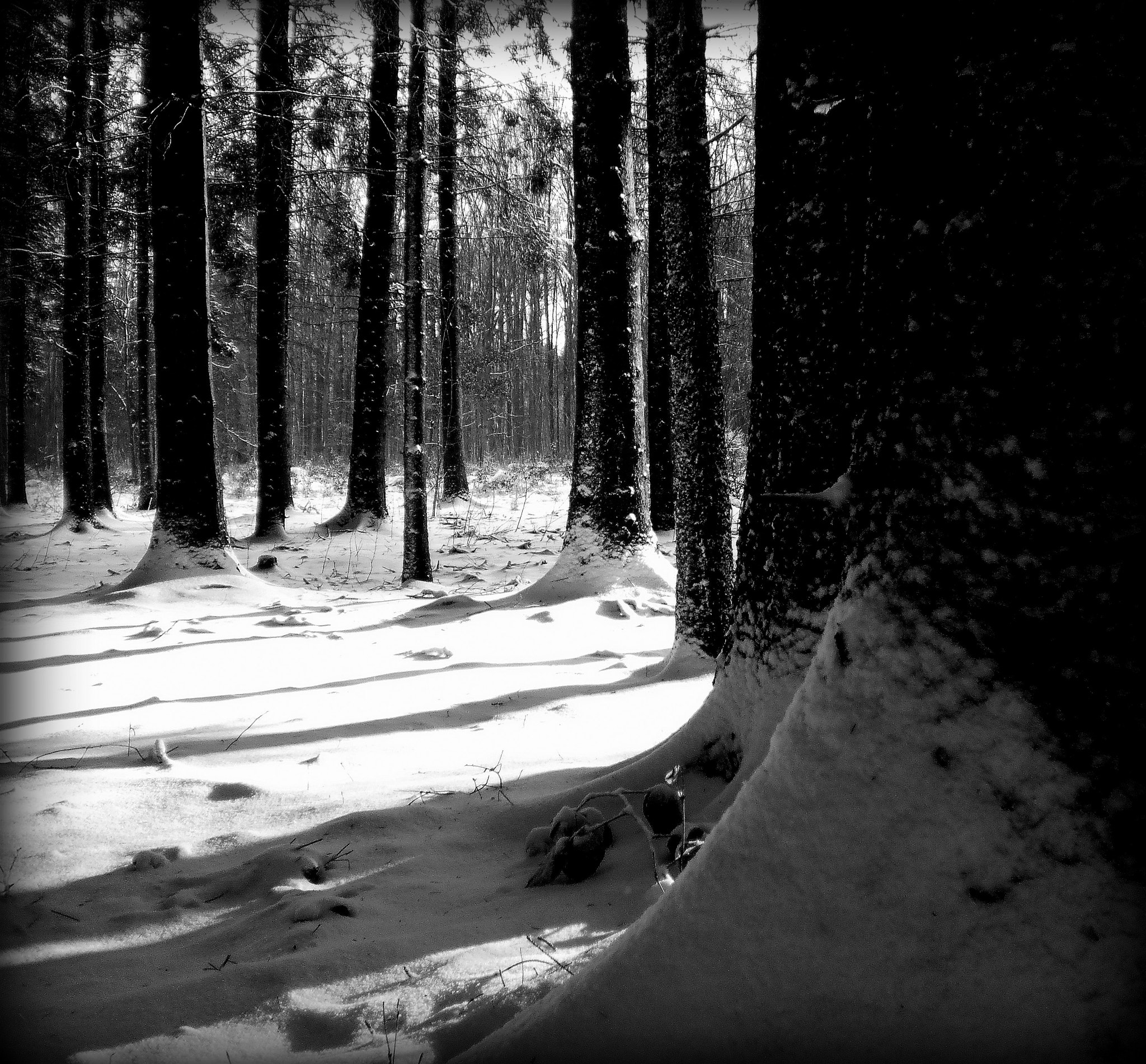 Olympus T105,T100,X36 sample photo. Black and white photography