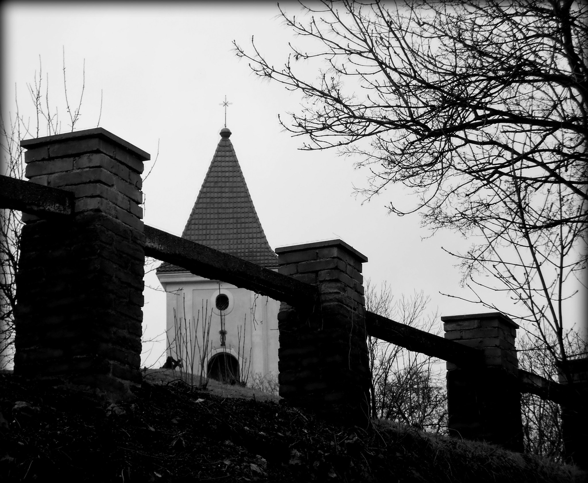 Olympus T105,T100,X36 sample photo. Black and white photography
