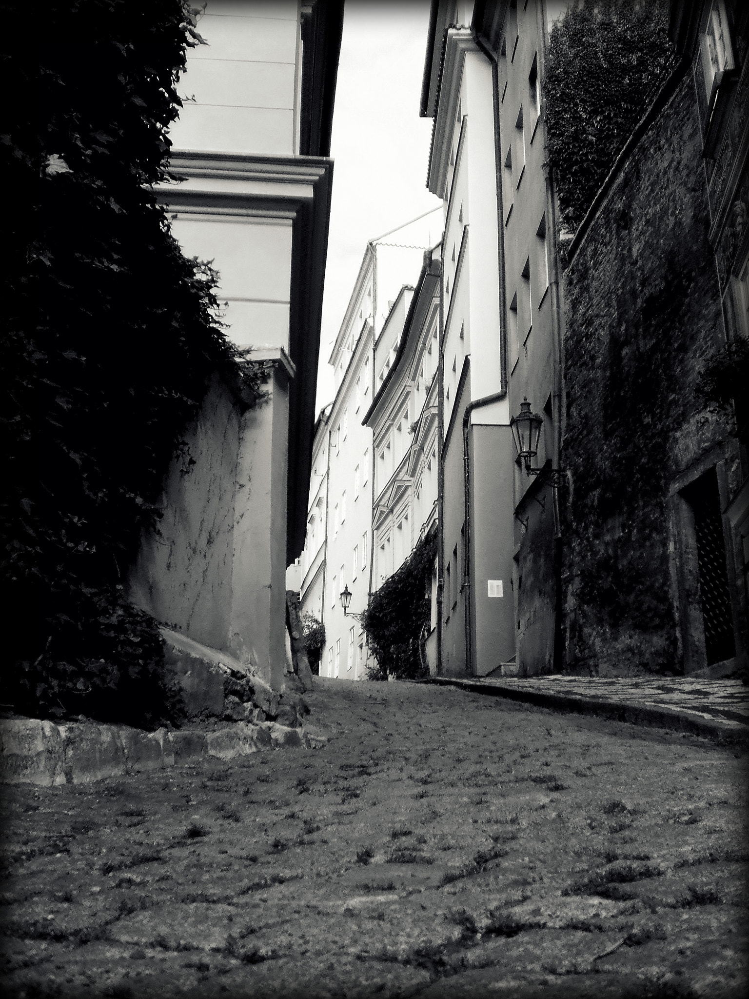 Olympus T105,T100,X36 sample photo. Black and white photography