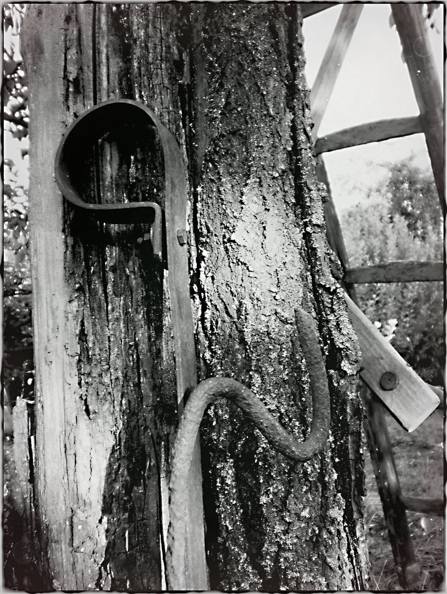 Olympus T105,T100,X36 sample photo. Black and white photography