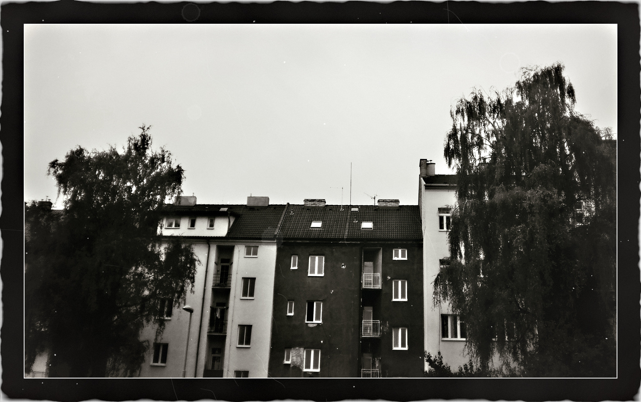 Olympus T105,T100,X36 sample photo. Black and white photography