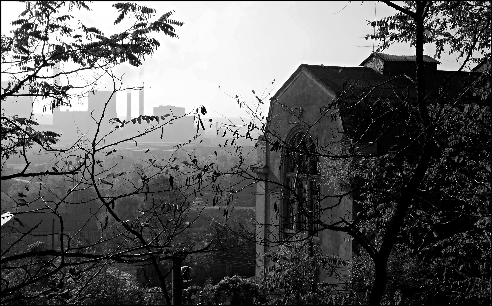 Olympus T105,T100,X36 sample photo. Black and white photography