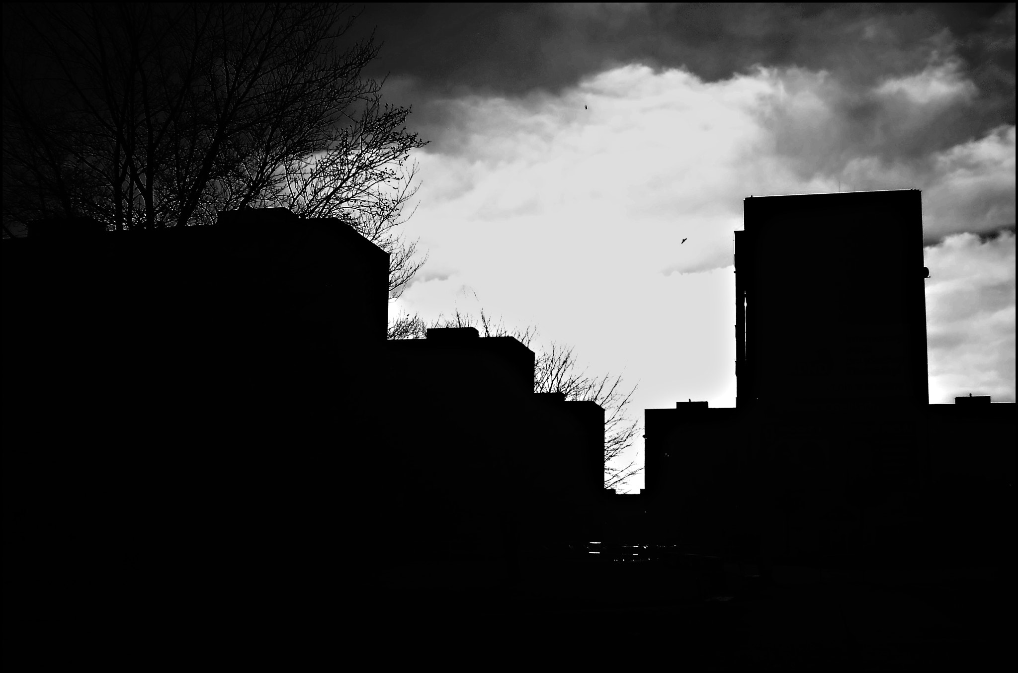 Olympus T105,T100,X36 sample photo. Black and white photography