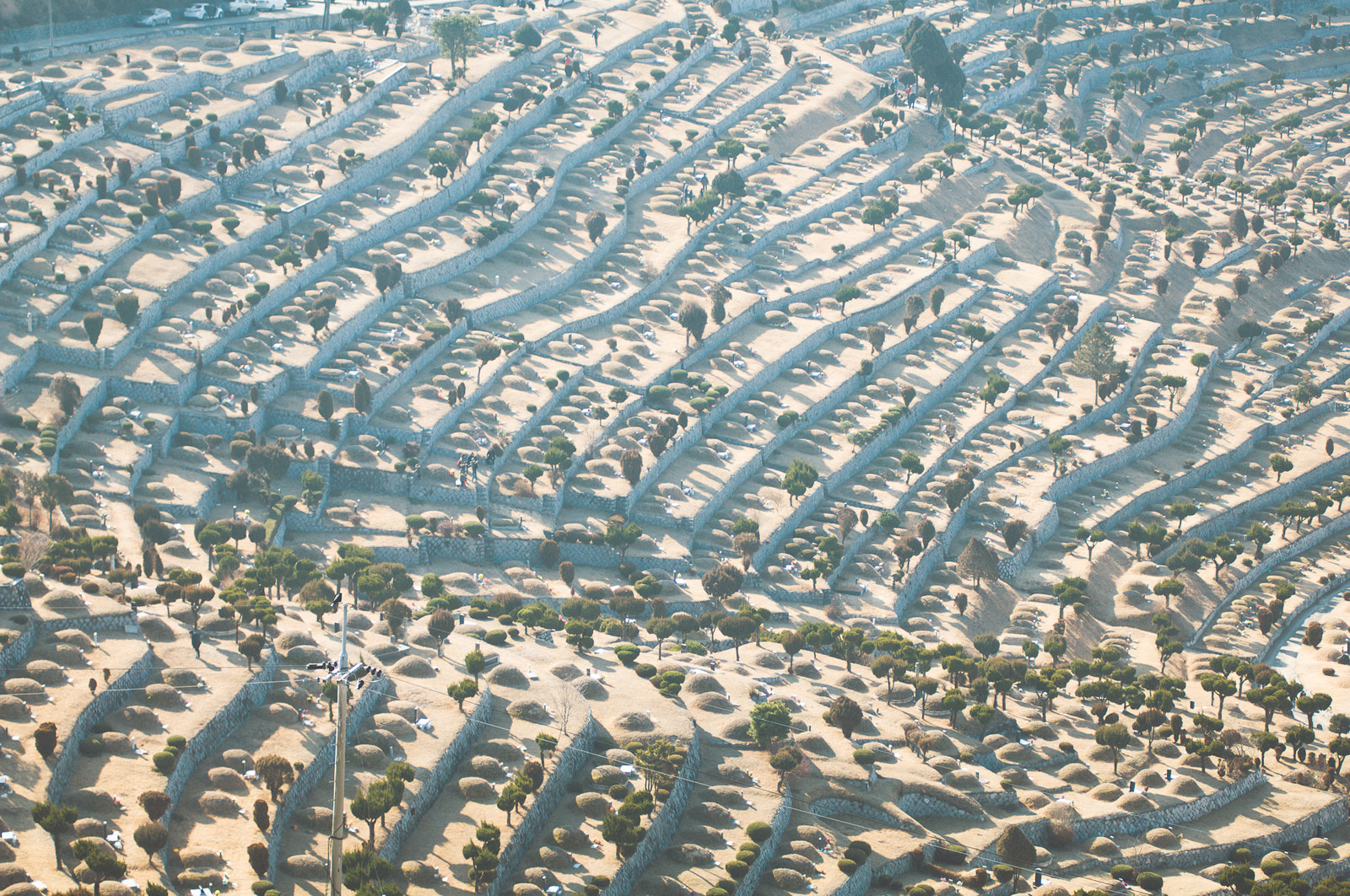 Nikon D2X sample photo. Cemetery park photography