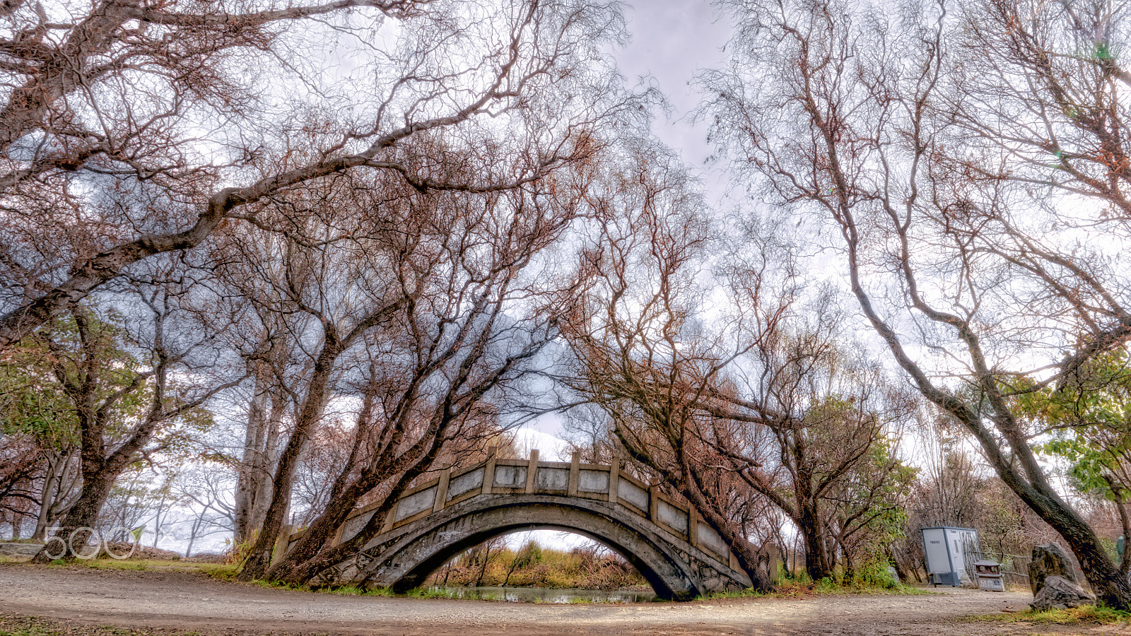 Canon EOS 70D + Canon EF 300mm f/2.8L sample photo. The bridge photography