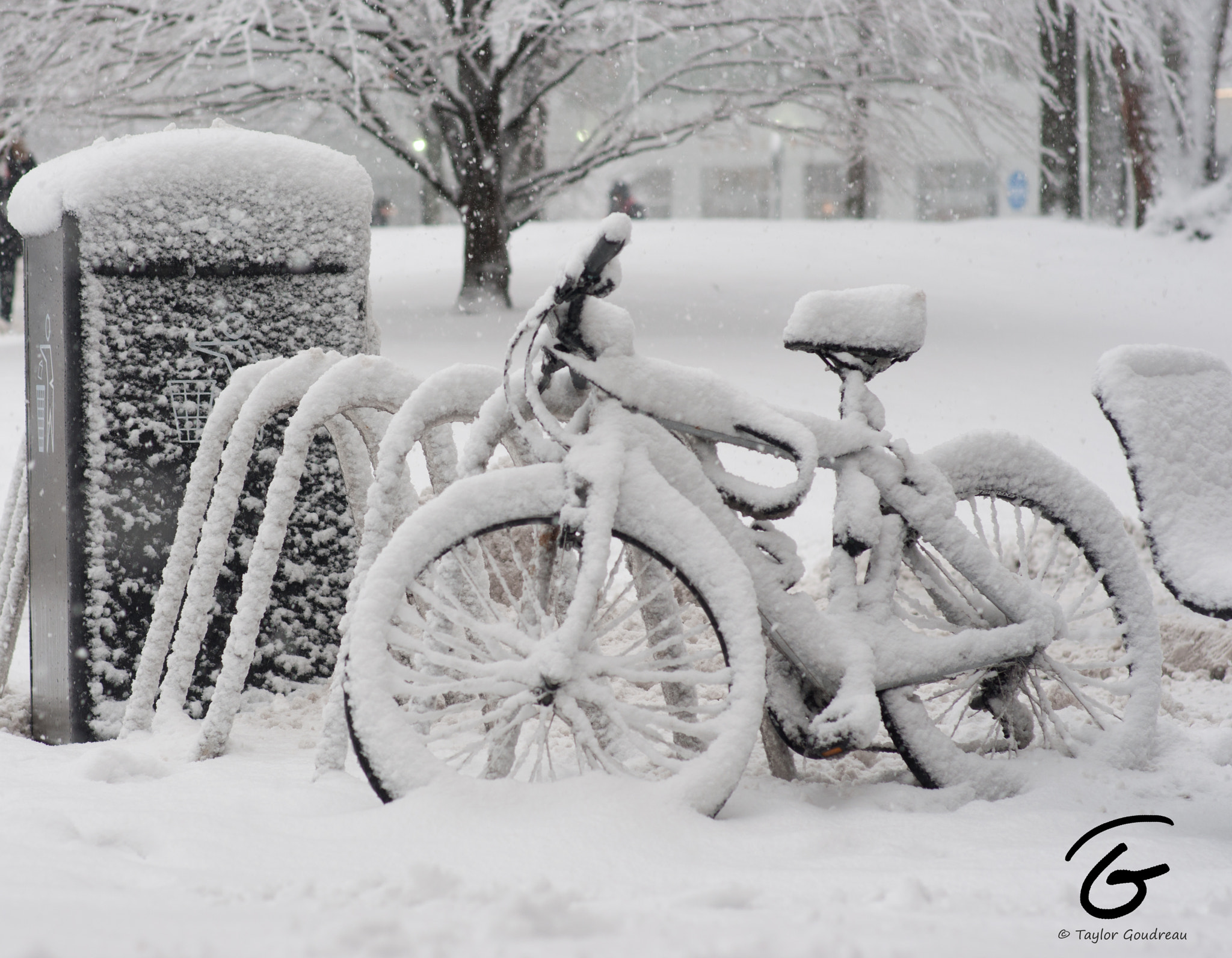 Nikon D90 + Sigma 85mm F1.4 EX DG HSM sample photo. Cold day for a bike photography