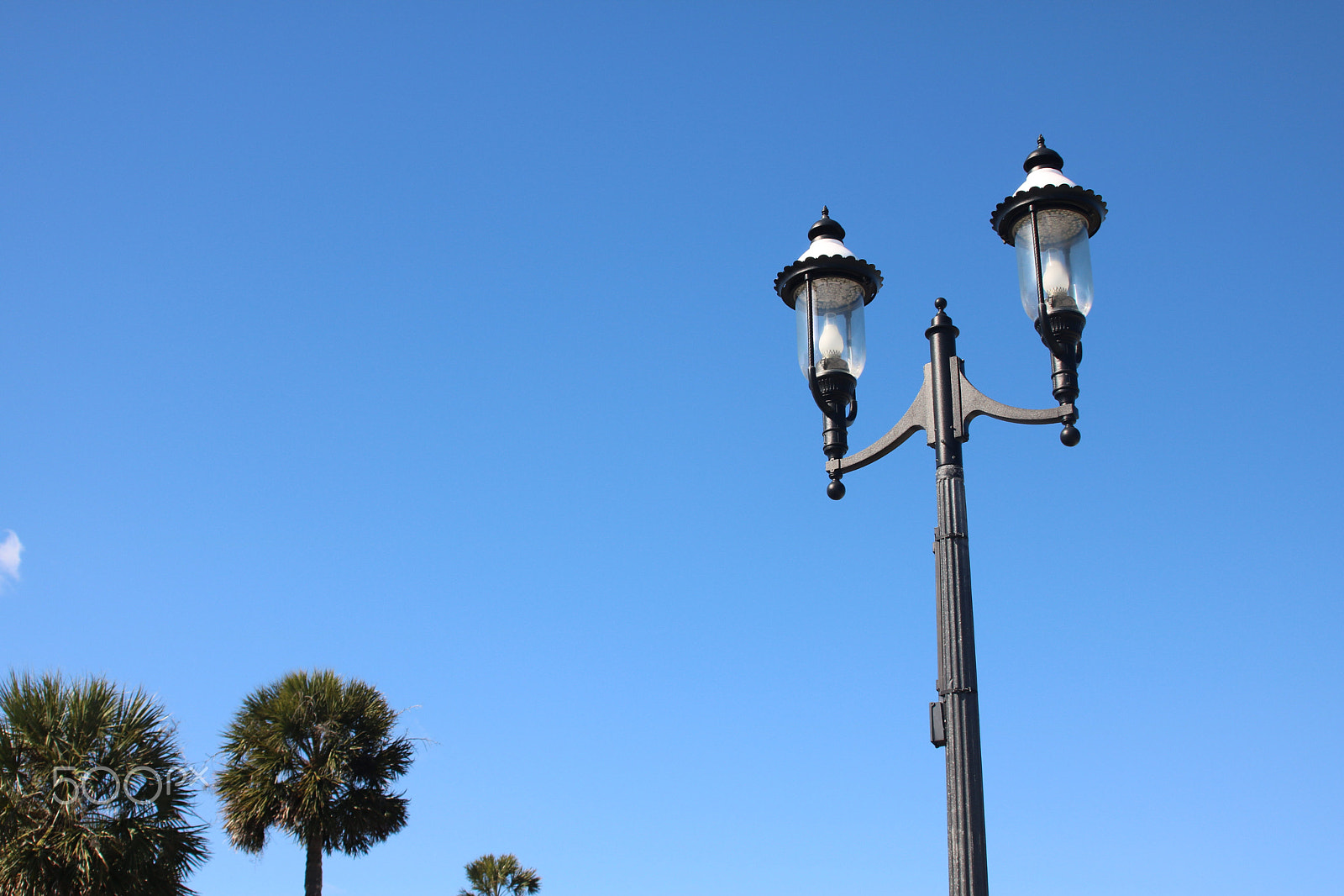 Canon EOS 760D (EOS Rebel T6s / EOS 8000D) sample photo. Staug photography
