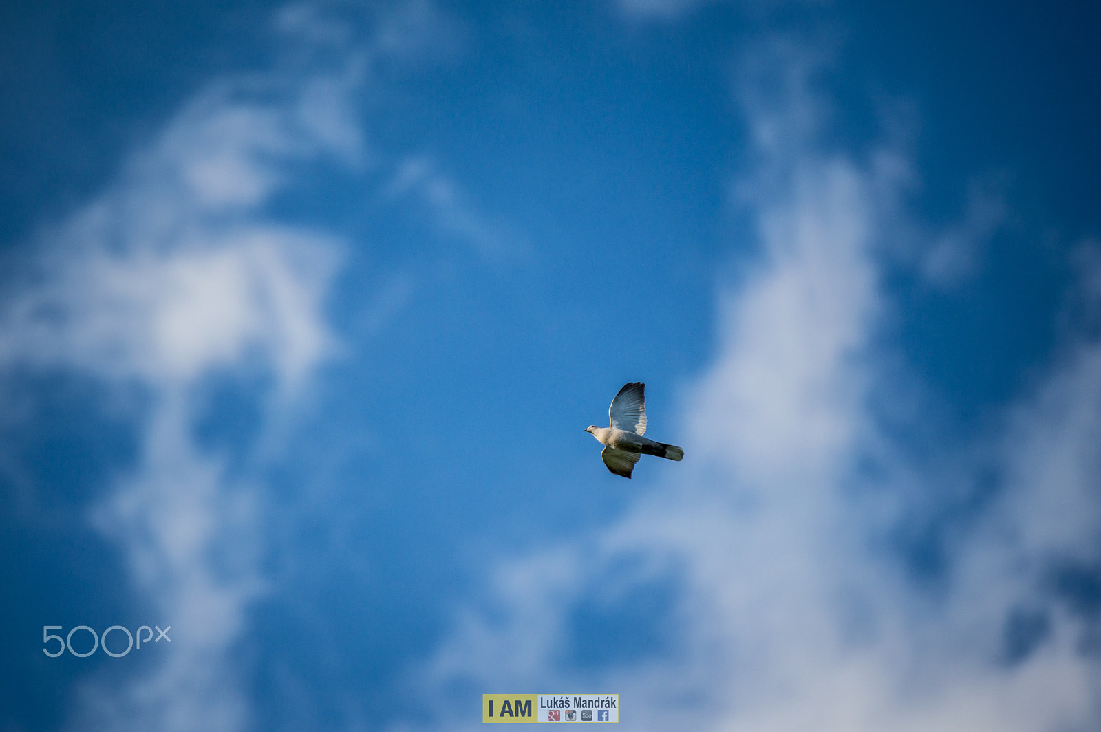 Nikon AF-S Nikkor 70-200mm F2.8G ED VR II sample photo. Freedom photography
