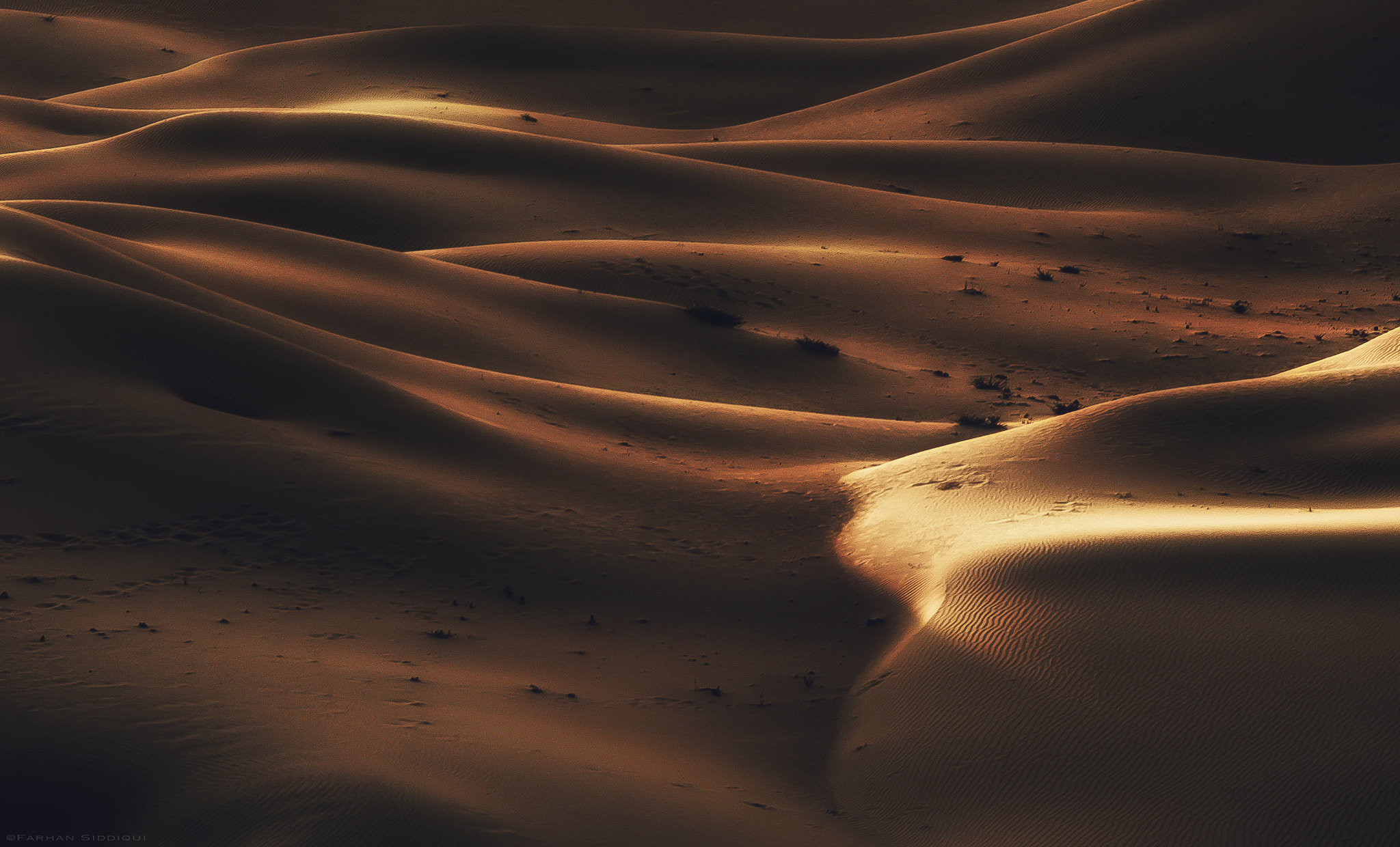 Nikon D7000 + AF Micro-Nikkor 105mm f/2.8 sample photo. Gleamy dunes- ii photography