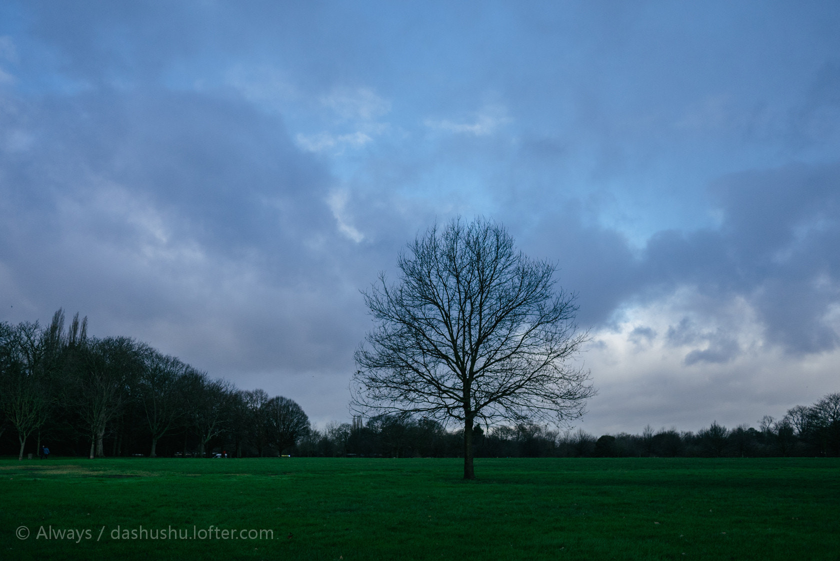 Panasonic Lumix DMC-GM1 + LUMIX G 20/F1.7 II sample photo.  20160112 @the regent park  photography