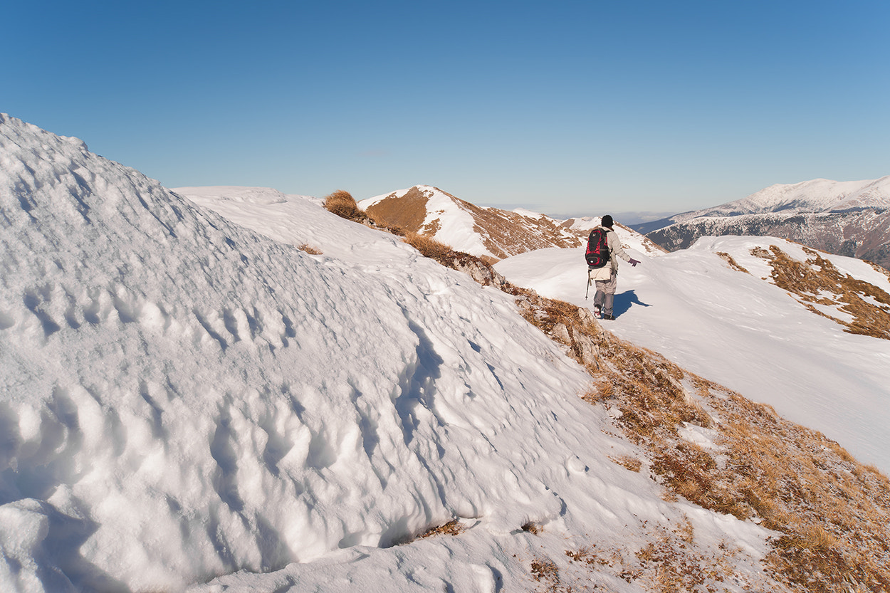 Sony Alpha DSLR-A850 + Minolta AF 35-105mm F3.5-4.5 New sample photo. Oslea winter photography