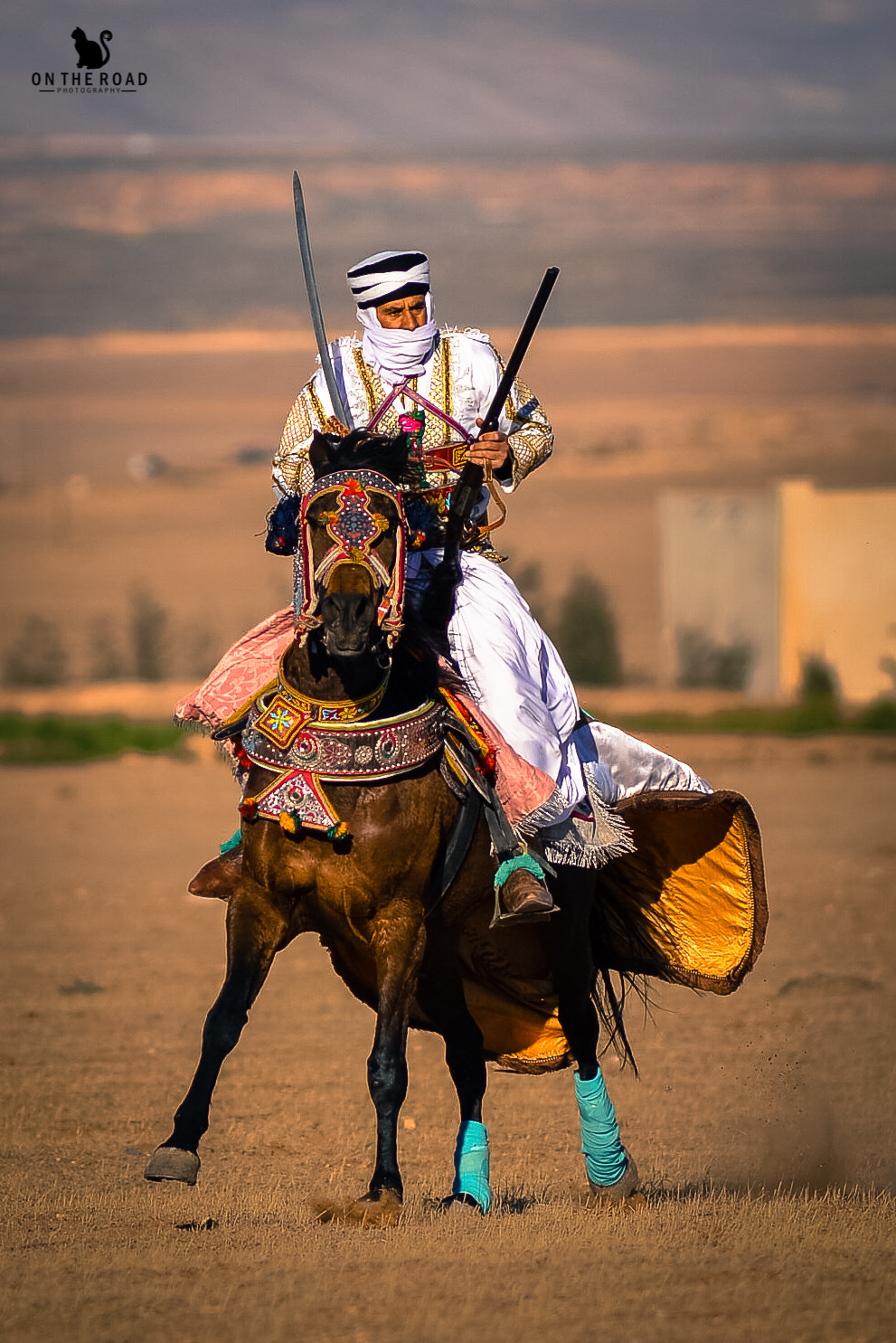 Nikon D800 + AF Nikkor 300mm f/4 IF-ED sample photo. Power horse photography