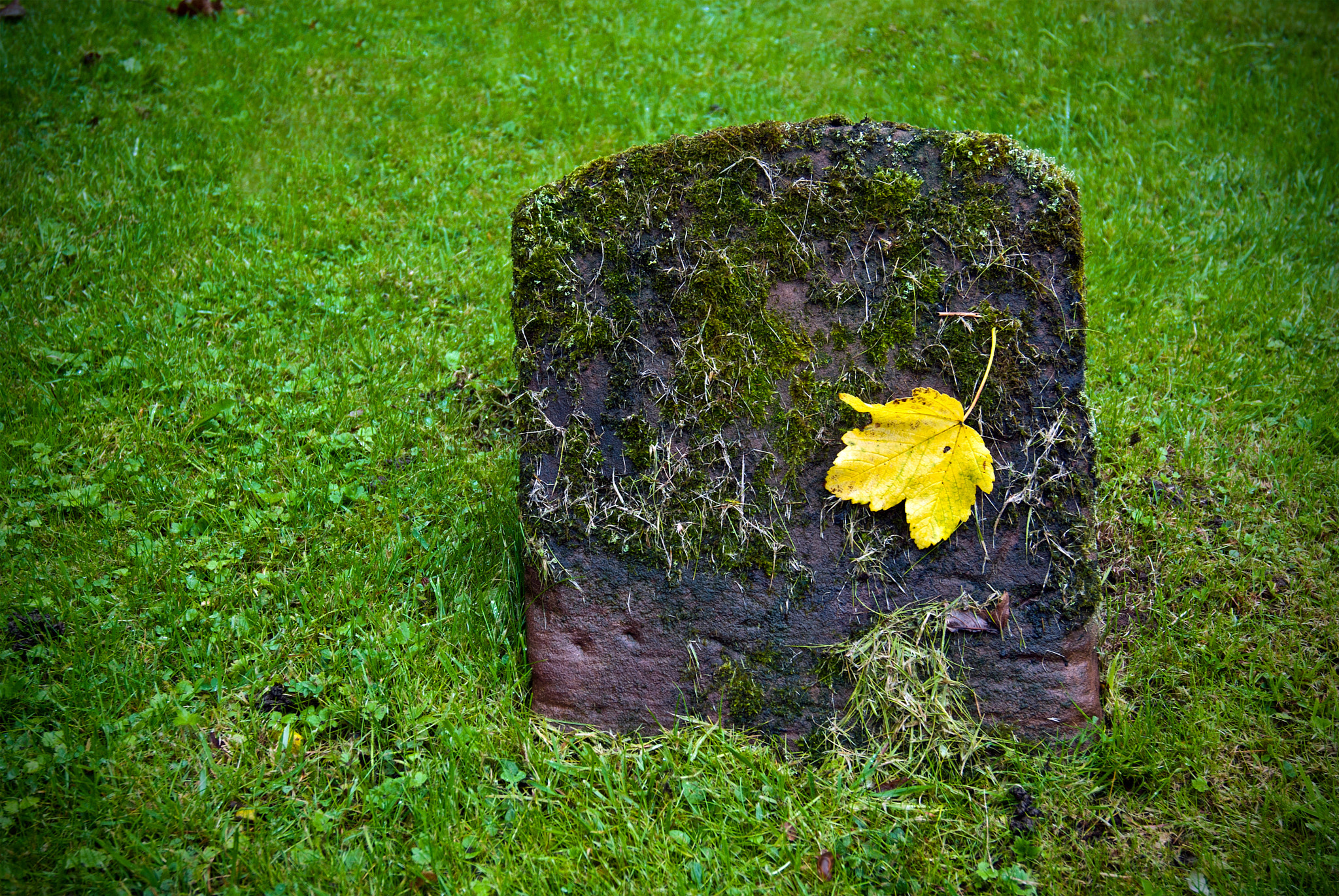 Nikon D200 sample photo. End of life photography