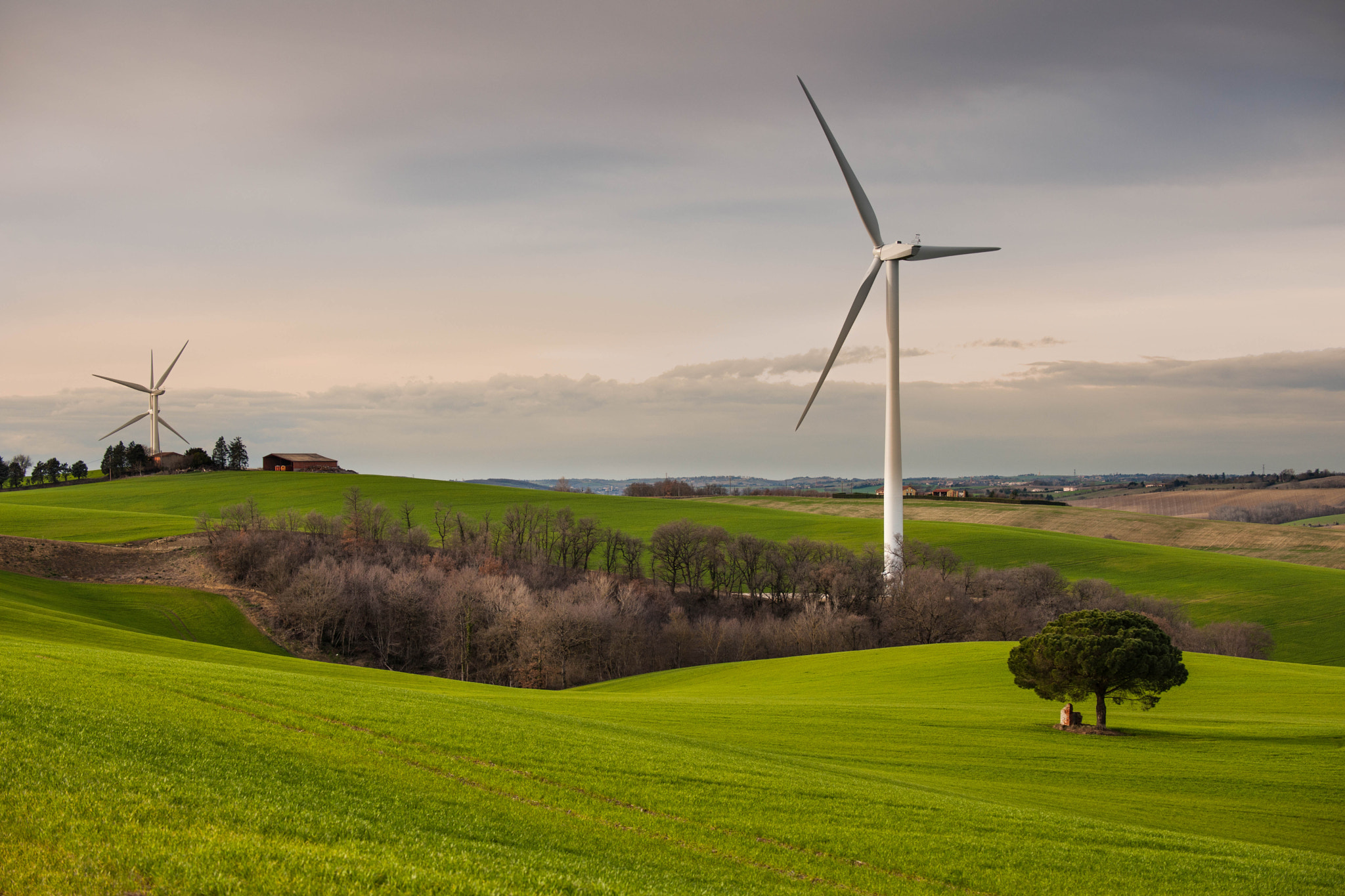 Nikon D3X sample photo. Dans le lauragais photography