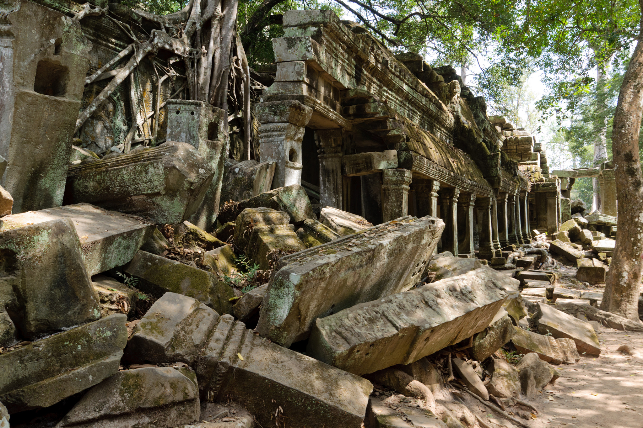 Sigma 18-200mm F3.5-6.3 II DC OS HSM sample photo. Ta prohm temple, cambodia photography