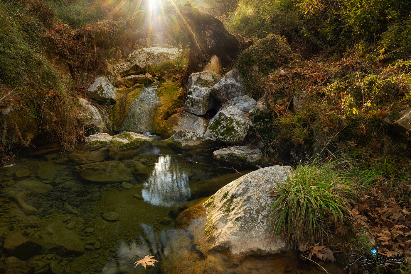 Nikon D610 + AF Zoom-Nikkor 28-70mm f/3.5-4.5D sample photo. Lost in hollywood photography