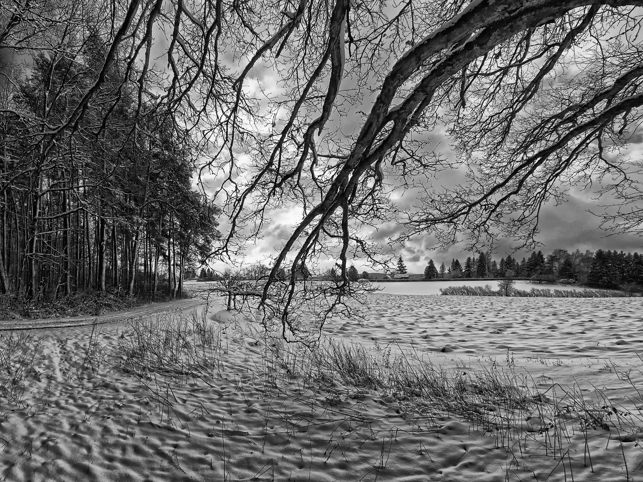 Olympus OM-D E-M1 + OLYMPUS M.8mm F1.8 sample photo. Winter photography