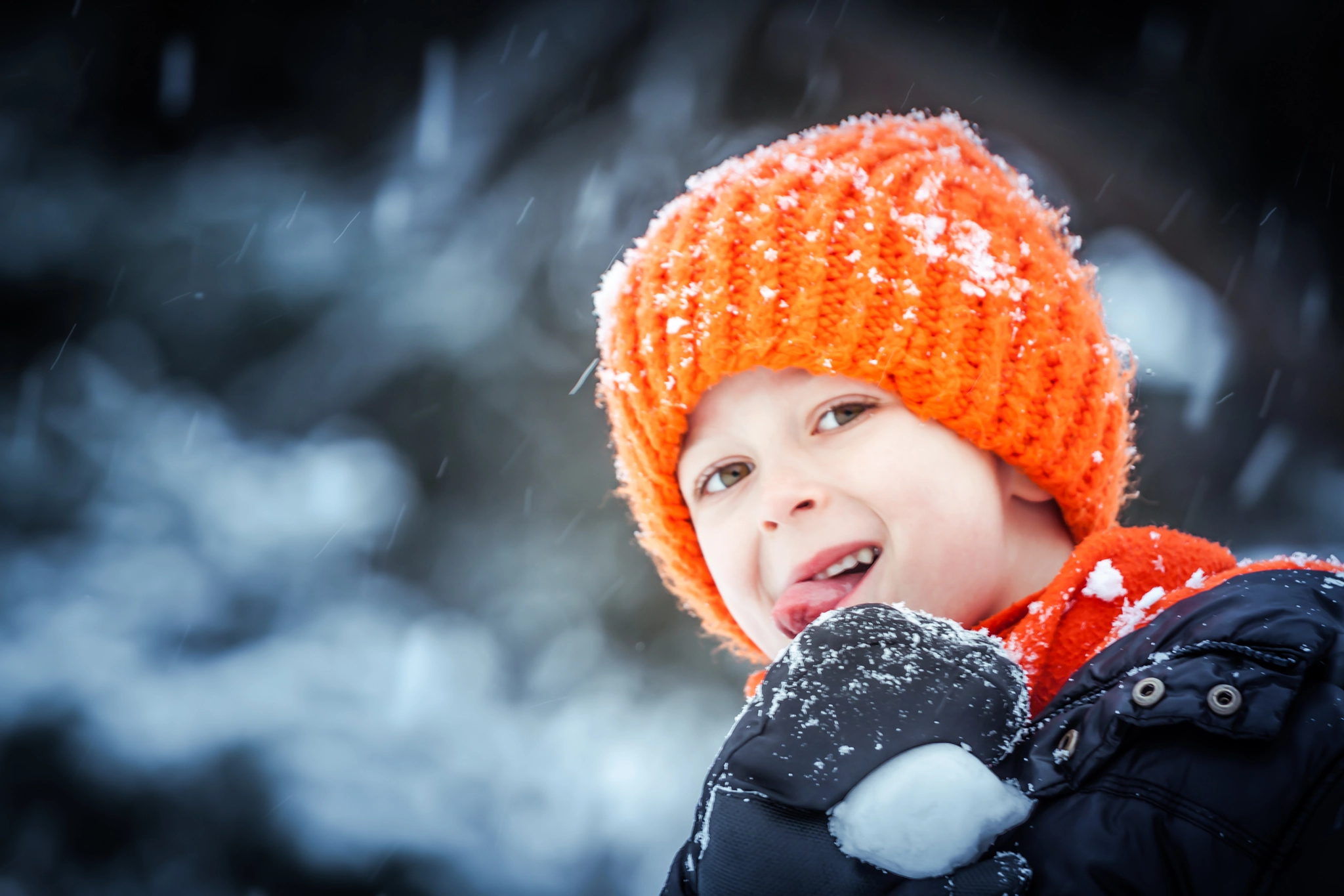 Canon EOS 500D (EOS Rebel T1i / EOS Kiss X3) sample photo. The taste of winter photography