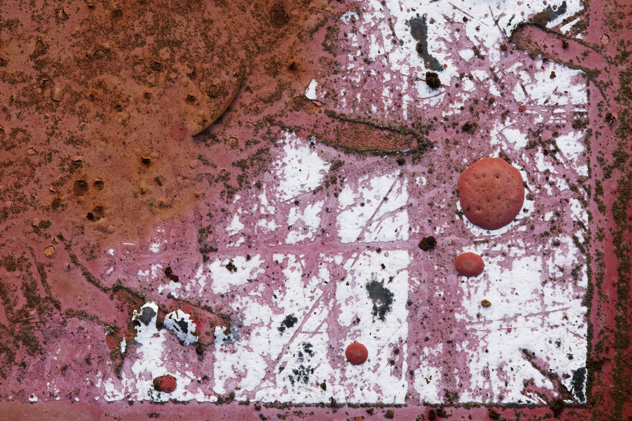 Canon EOS-1D Mark III + Canon EF 100mm F2.8 Macro USM sample photo. Abstract paint and rust 2 photography