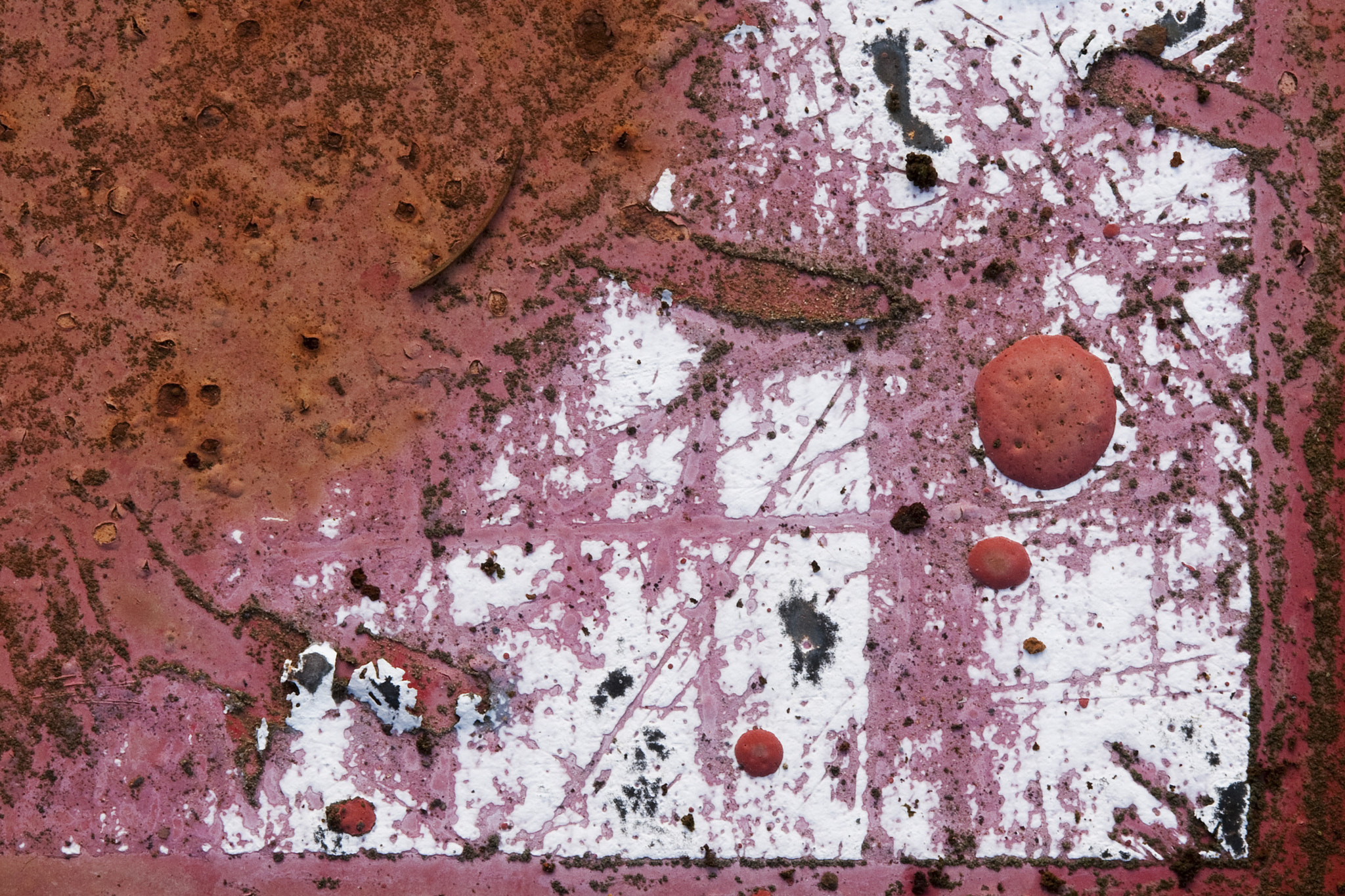 Canon EF 100mm F2.8 Macro USM sample photo. Abstract paint and rust 2 photography