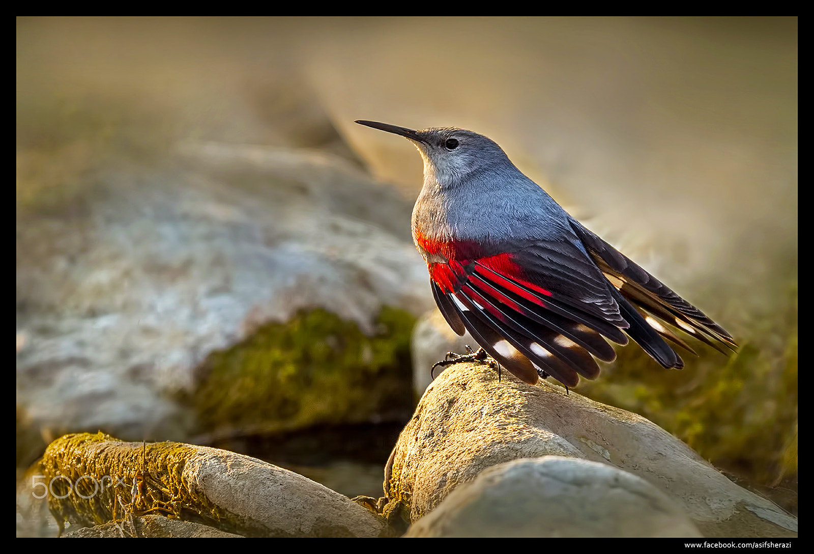 Nikon D4S sample photo. Beauty of the nature photography