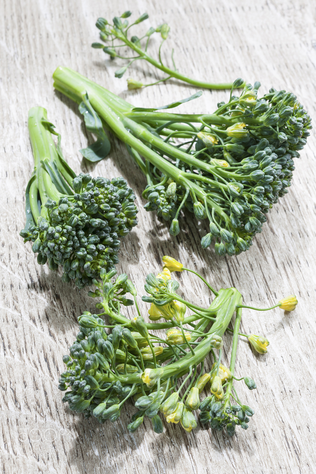 Nikon D3X sample photo. Broccoli florets photography