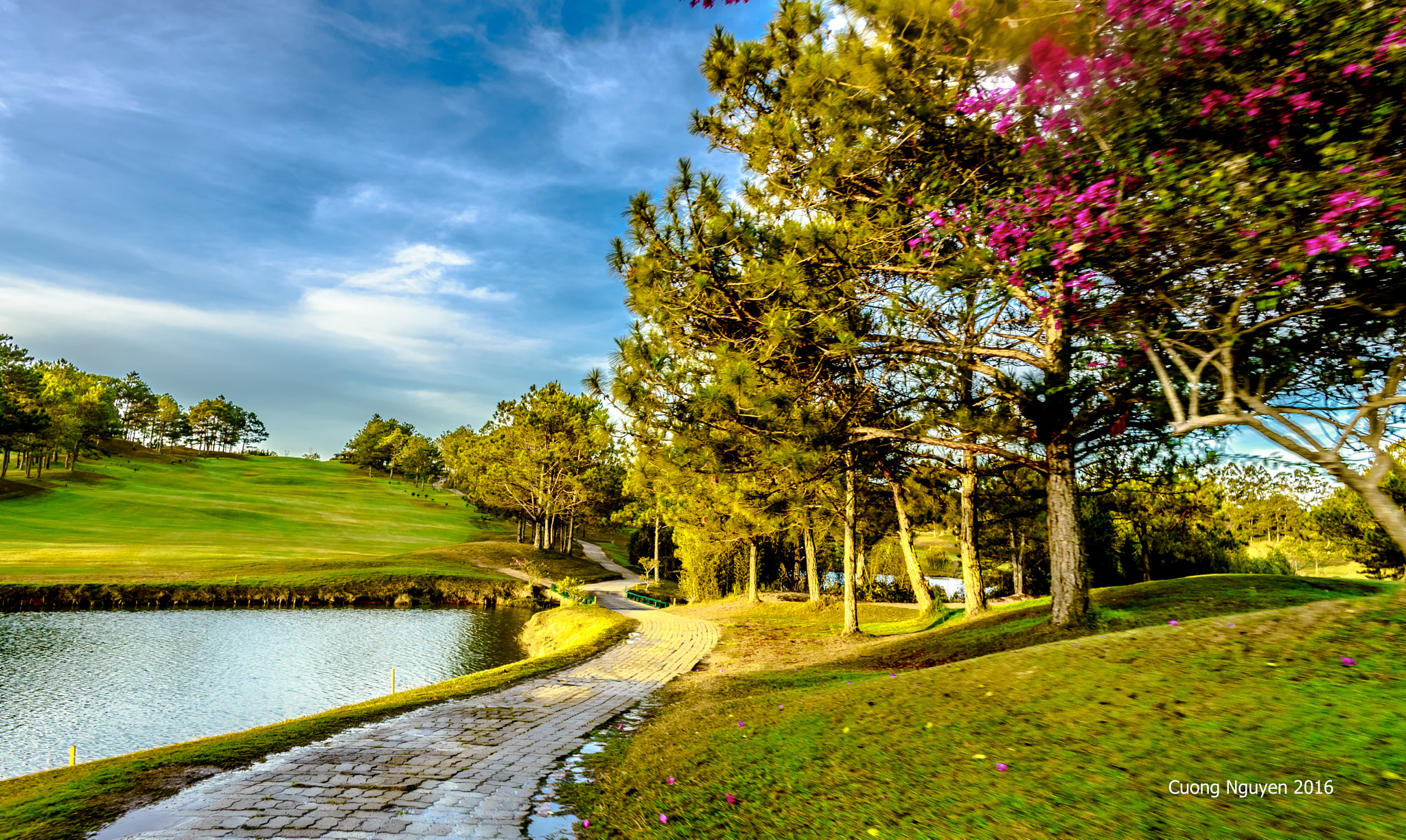 Canon EOS 6D + Canon EF 24mm f/1.4L sample photo. Da lat photography