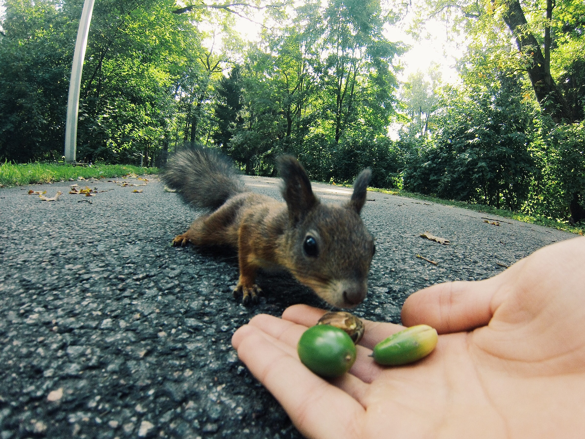 GoPro Hero3-Silver Edition sample photo