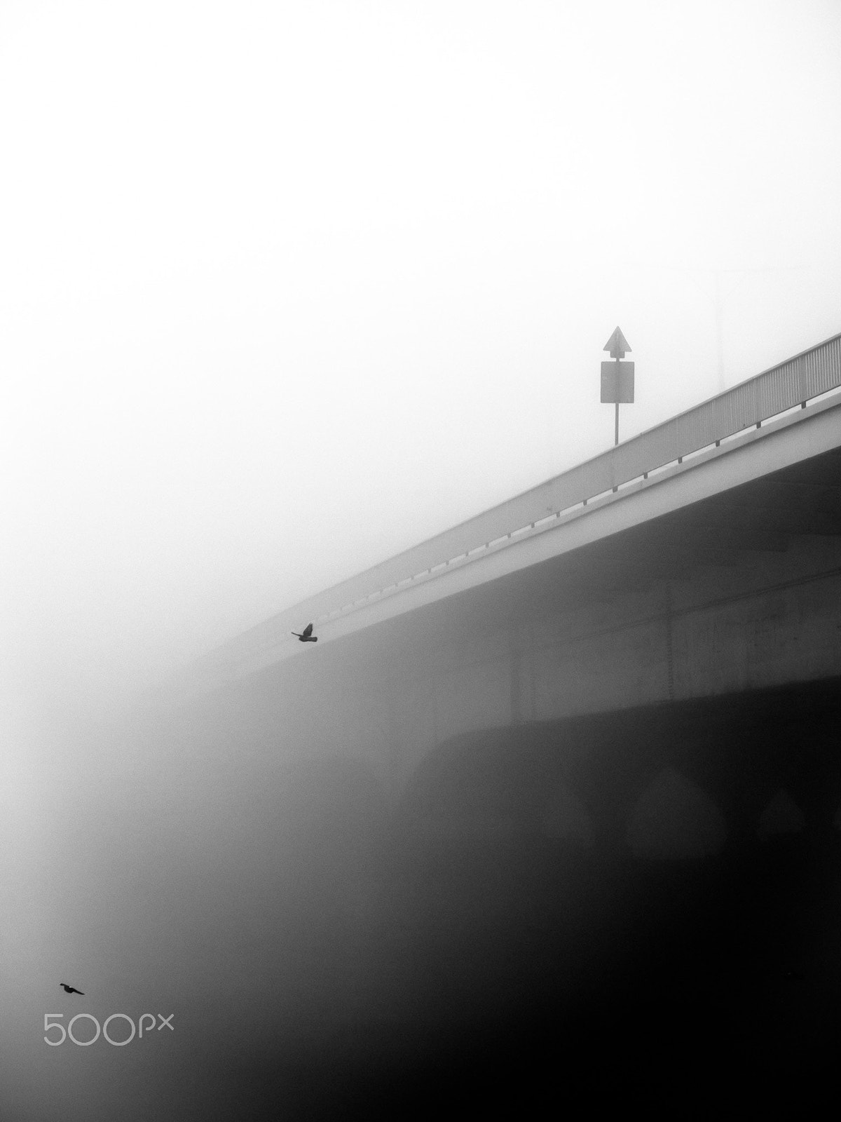 LUMIX G VARIO 45-150/F4.0-5.6 sample photo. Bridge in the fog photography