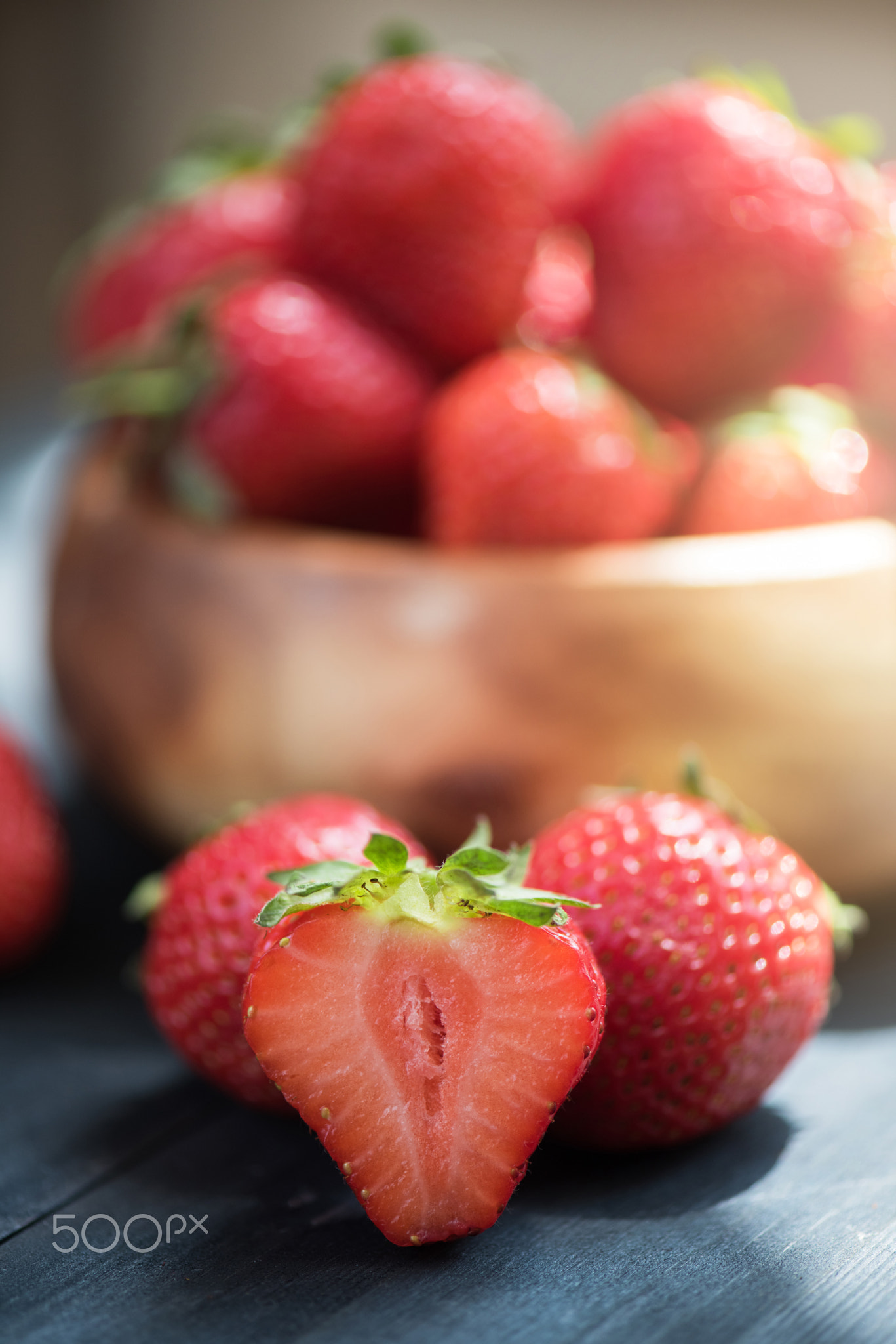 Why Are The Garden Snails Burying Themselves? Telegraph