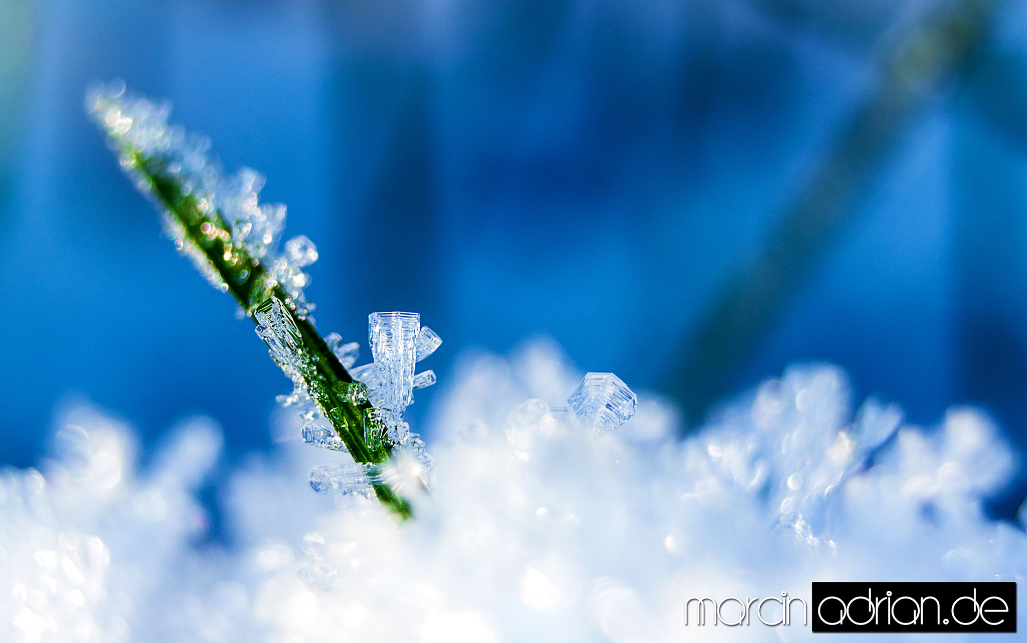 Canon EF-S 18-55mm F3.5-5.6 sample photo. Marcin adrian, www.marcinadrian.de, eiskristalle, ice crystals photography