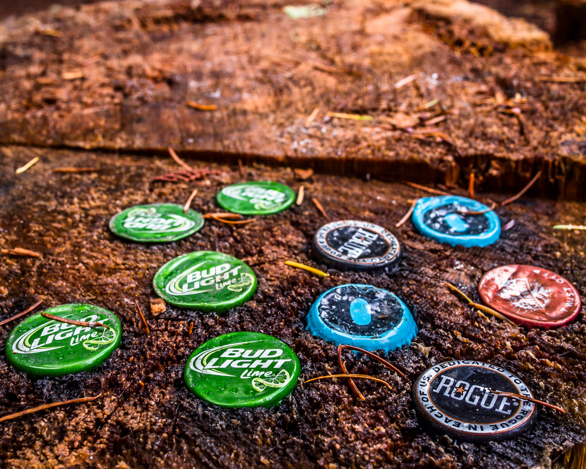 Olympus PEN E-PL3 + Panasonic Lumix G 20mm F1.7 ASPH sample photo. Bottlecap tree stump photography