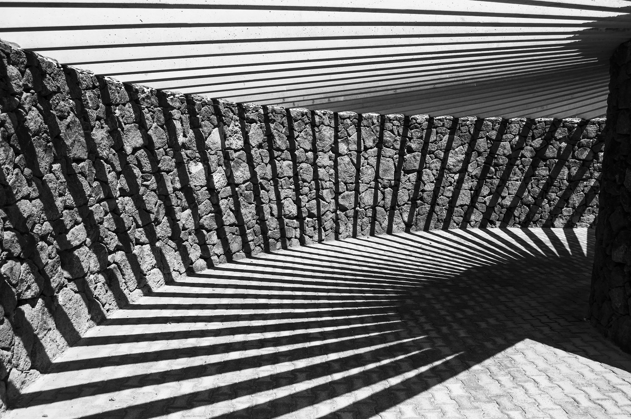 Nikon D2X sample photo. Light and shade photography