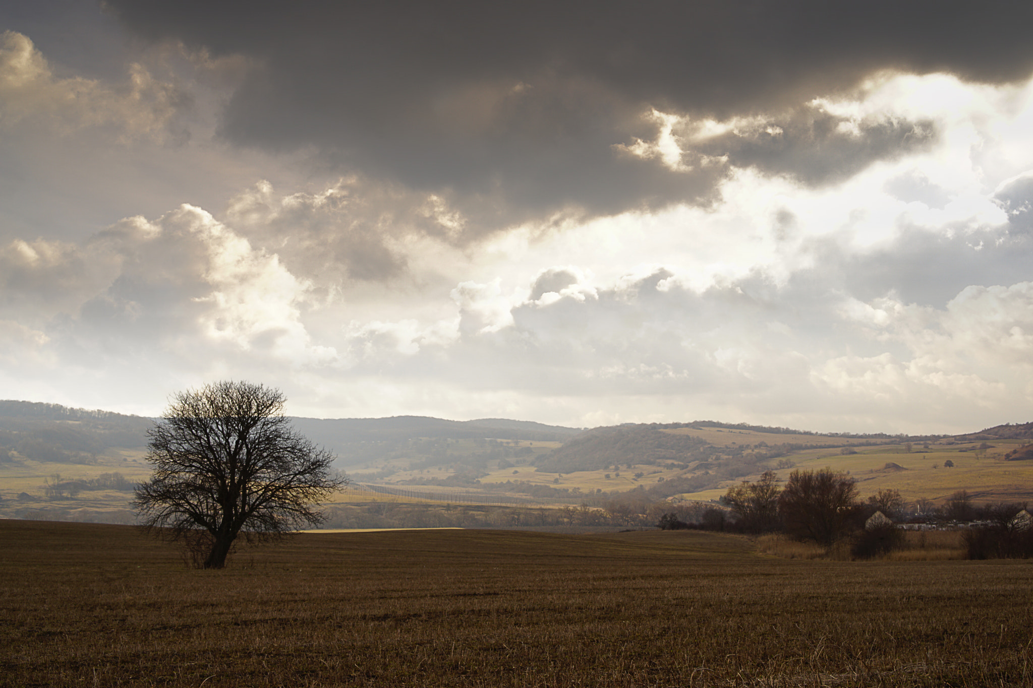 Sony a5100 + Sony E 35mm F1.8 OSS sample photo. Waiting for the spring photography