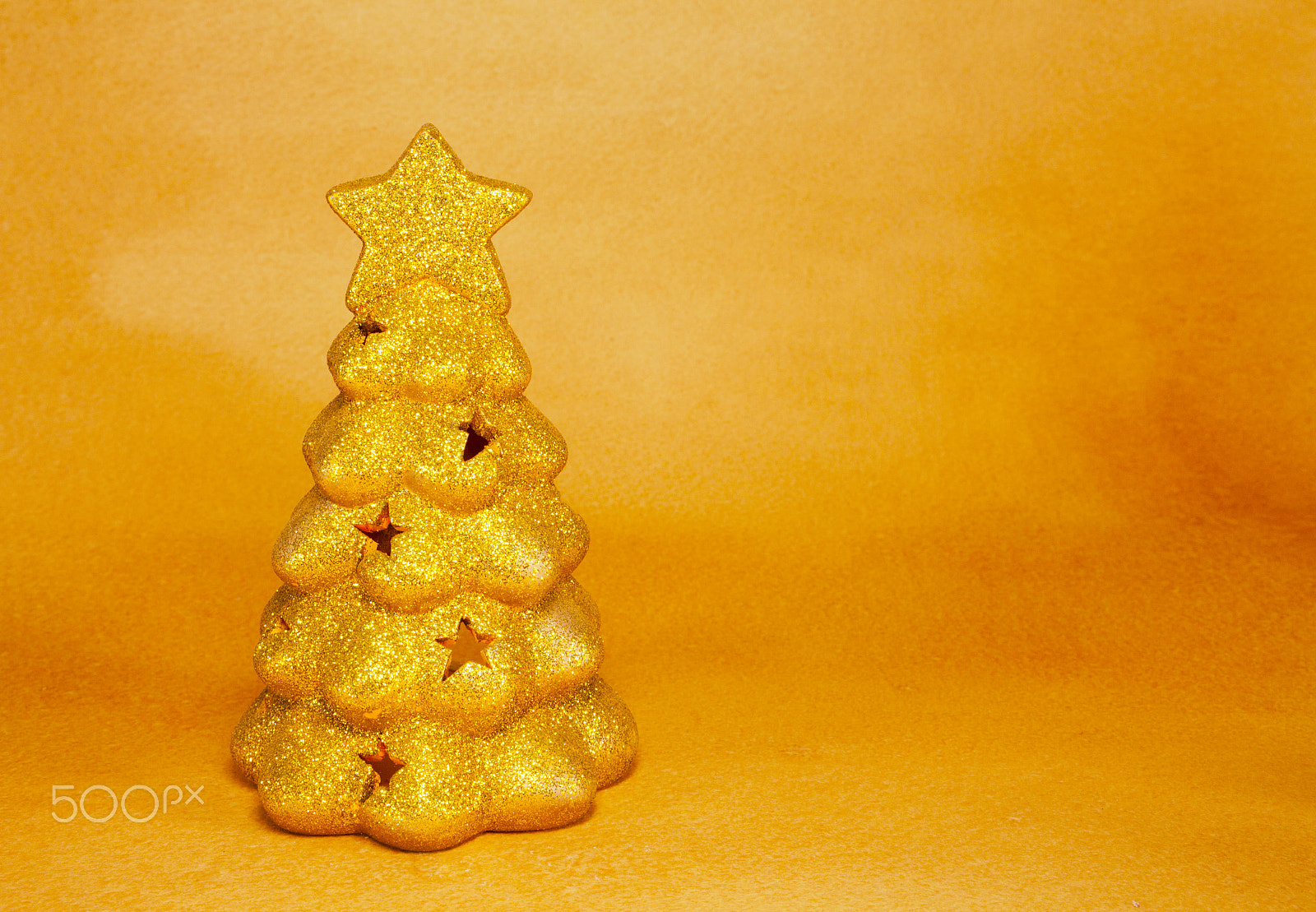 Canon EF 28-90mm f/4-5.6 sample photo. Golden evergreen tree photography