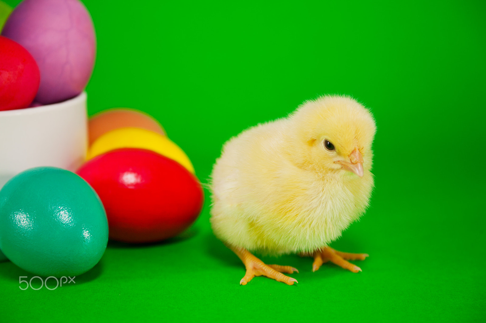 Canon EF 28-90mm f/4-5.6 sample photo. Basket with the easter eggs and small yellow chicken photography