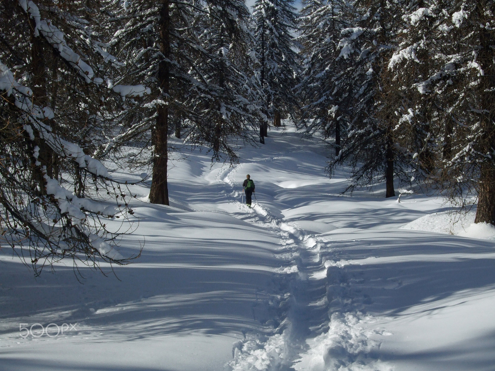 Fujifilm FinePix F40fd sample photo. Snow shoeing photography