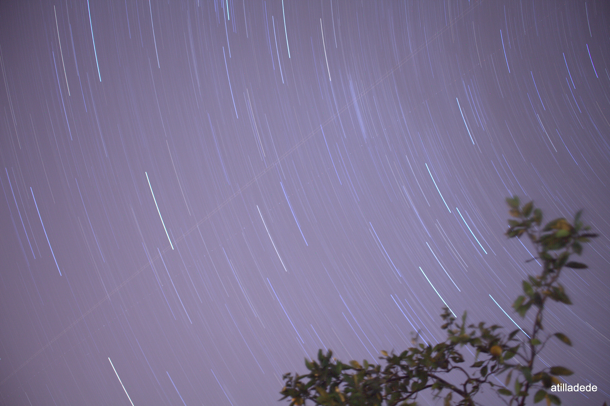 Sigma 50-500mm f/4-6.3 APO HSM EX sample photo. ... photography