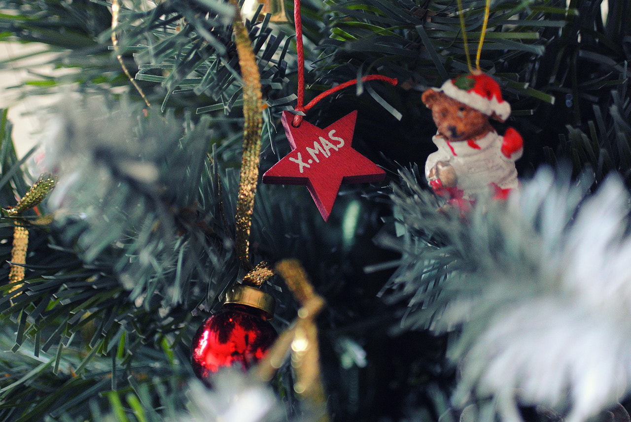 Nikon 1 J1 + Nikon 1 Nikkor 18.5mm F1.8 sample photo. X-mas photography