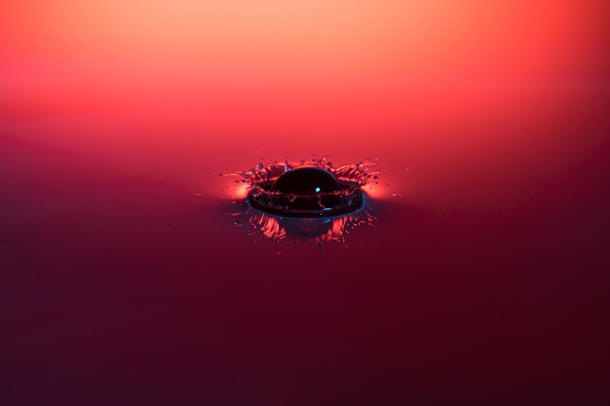 Sigma APO Macro 150mm f/2.8 EX DG HSM sample photo. High-speed drops photography