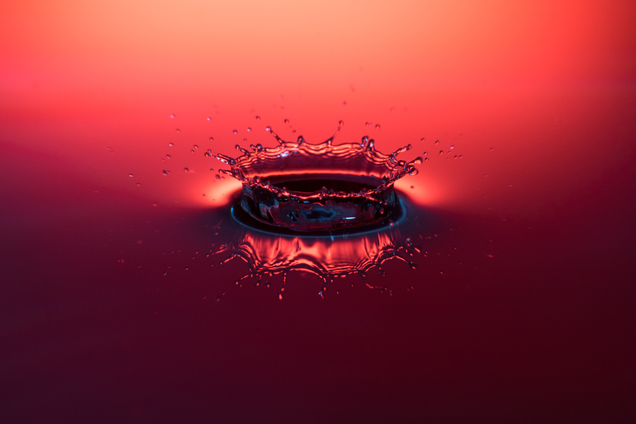 Sigma APO Macro 150mm f/2.8 EX DG HSM sample photo. High-speed drops photography
