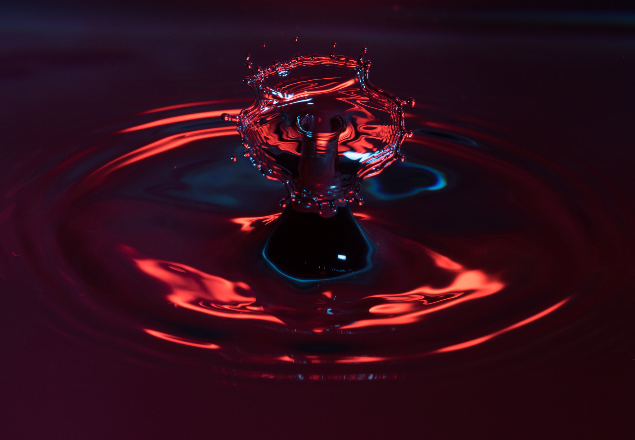 Sigma APO Macro 150mm f/2.8 EX DG HSM sample photo. High-speed drops photography
